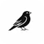 Sparrow