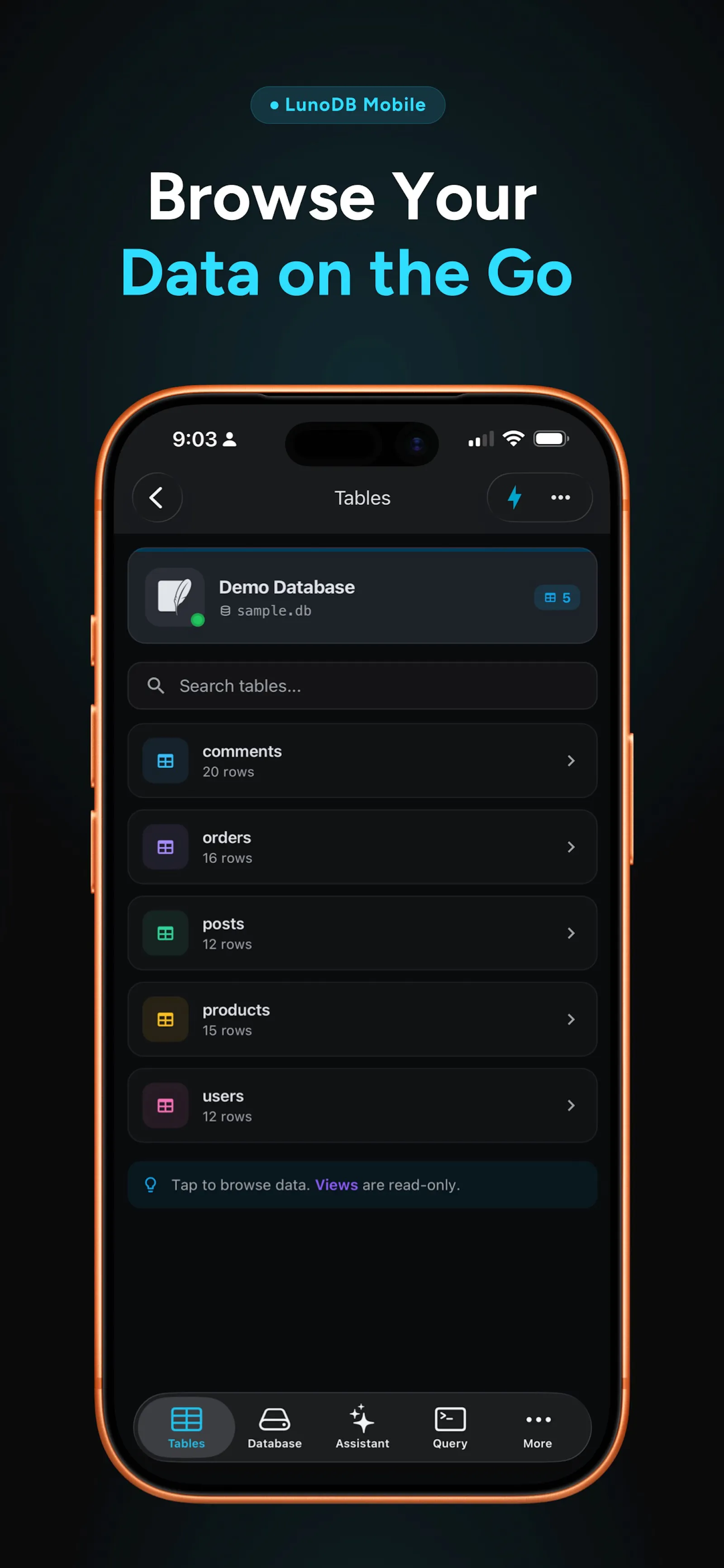LunoDB Mobile screenshot 4