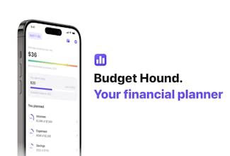Innovative indie iOS app with budget analysis and planning features