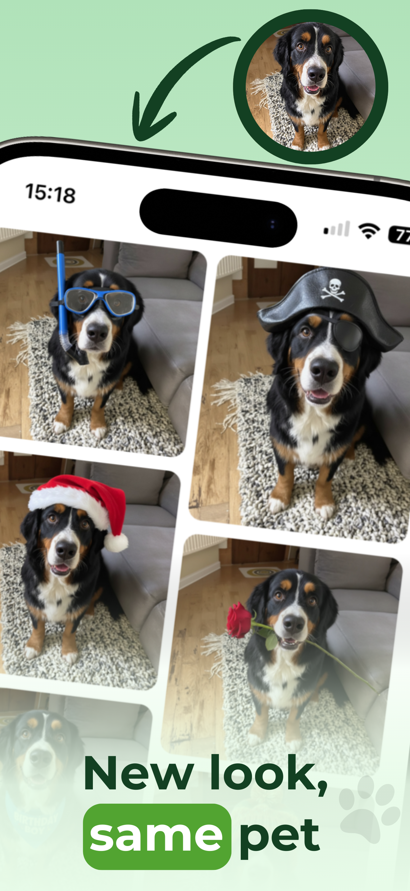 Pawtograph: Pet Photo Editor gallery image