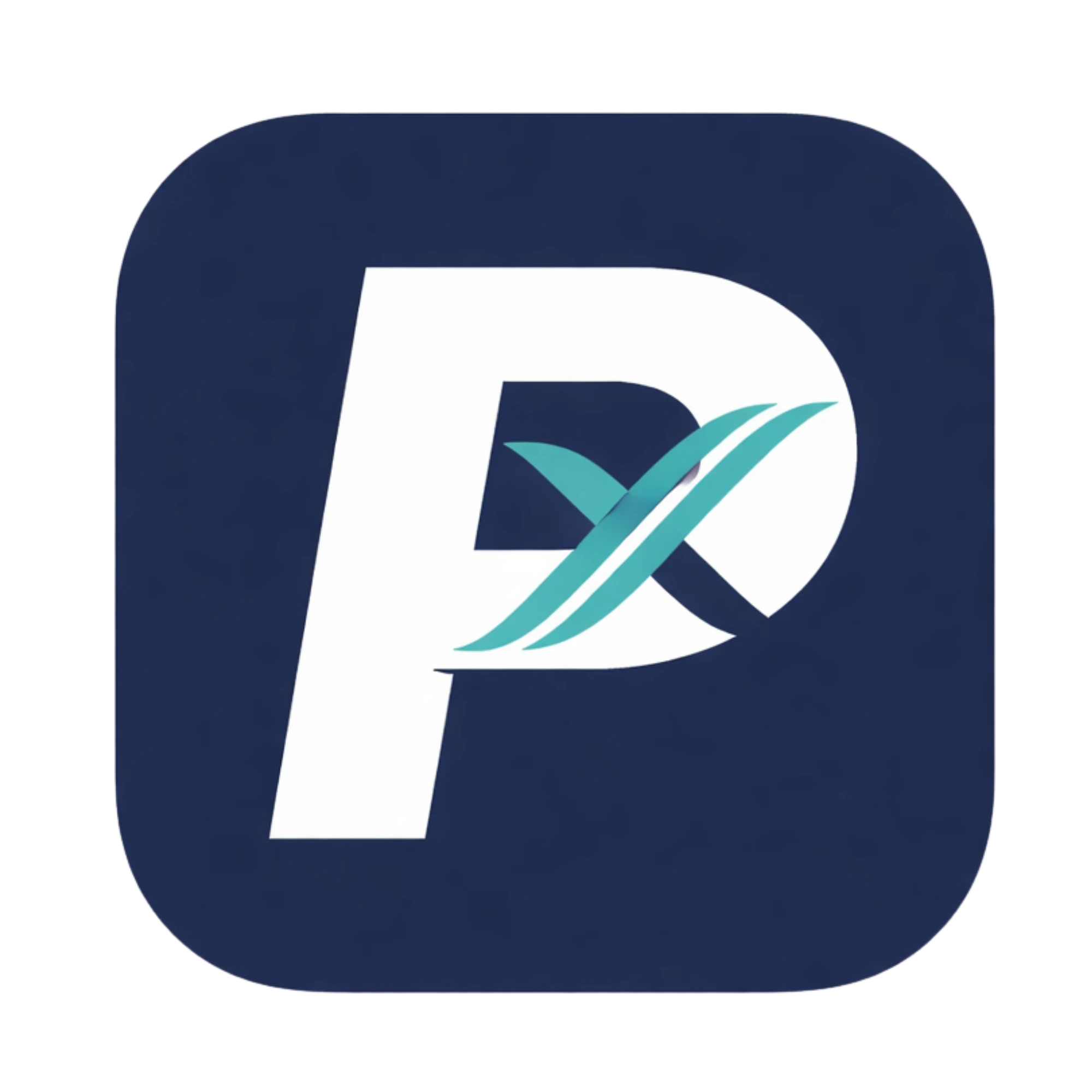 Payxem 대표 미리보기