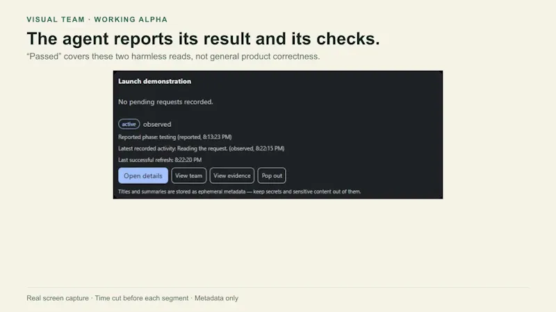 Visual Team screenshot 1 (video preview)
