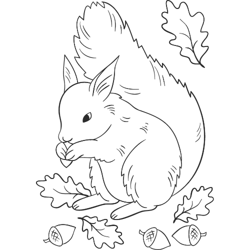 Docs Squirrel - Product Hunt launch logo and brand identity