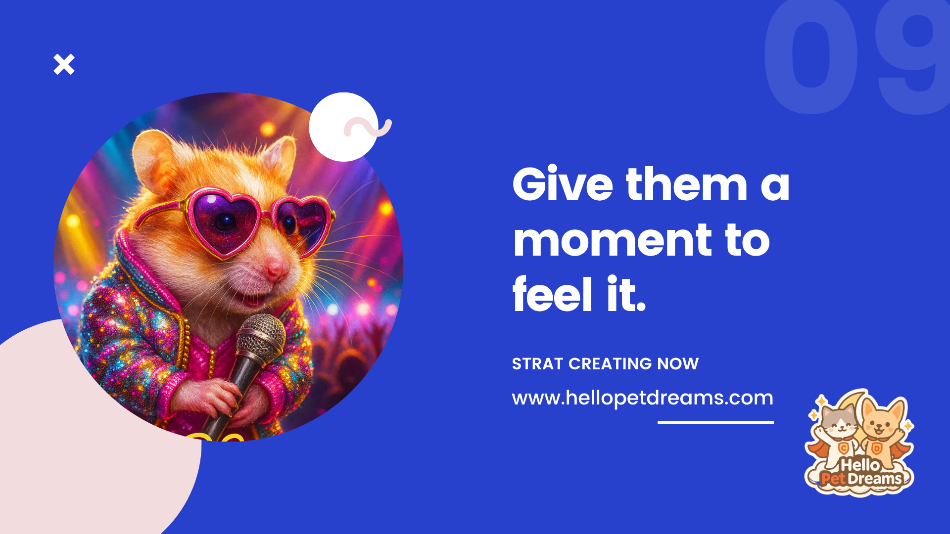 Hello Pet Dreams media 10