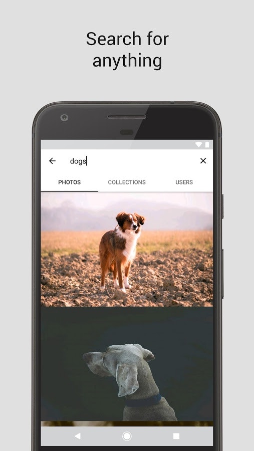 Resplash gallery image
