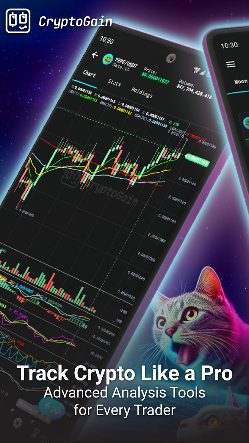 Criptogain media 2