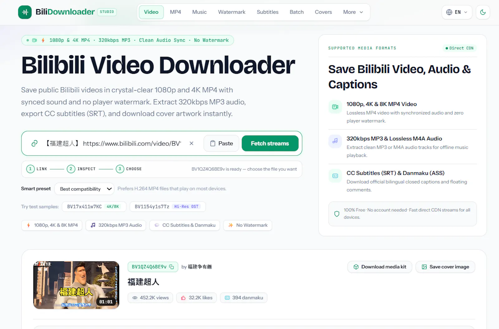 Bilibili Video Downloader screenshot 3