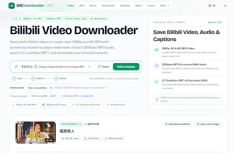 Bilibili Video Downloader screenshot 3