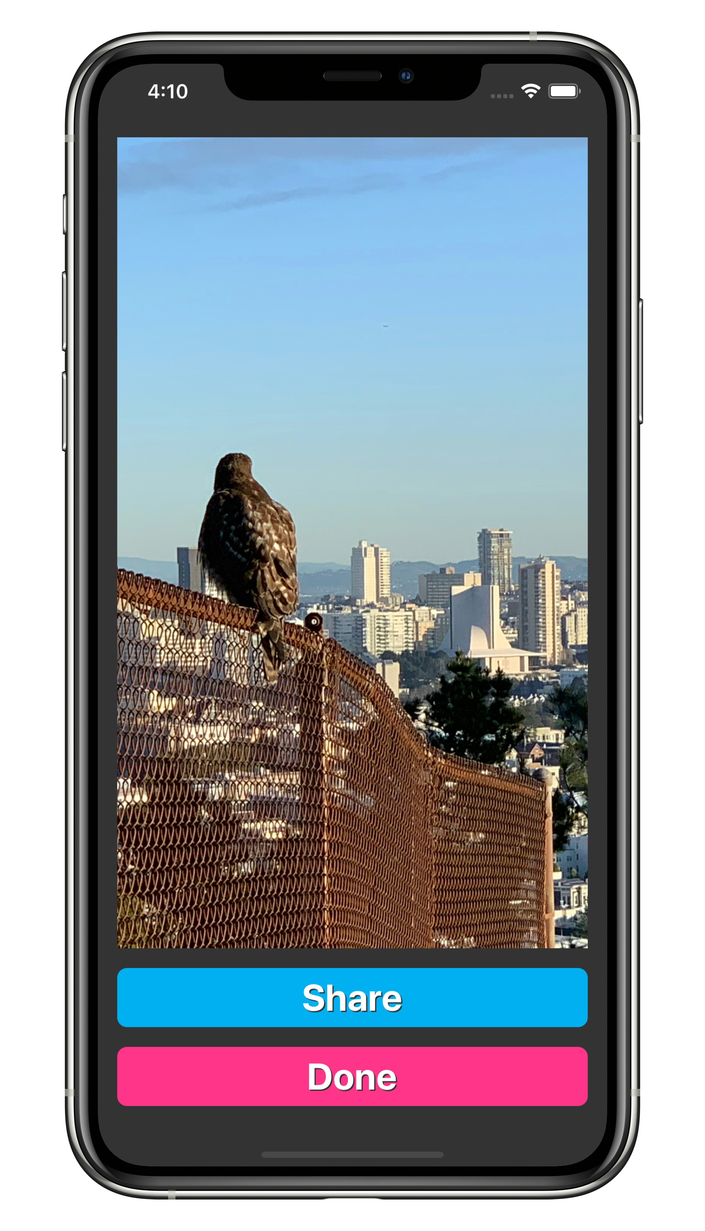 Gifcake gallery image