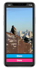 Gifcake gallery image
