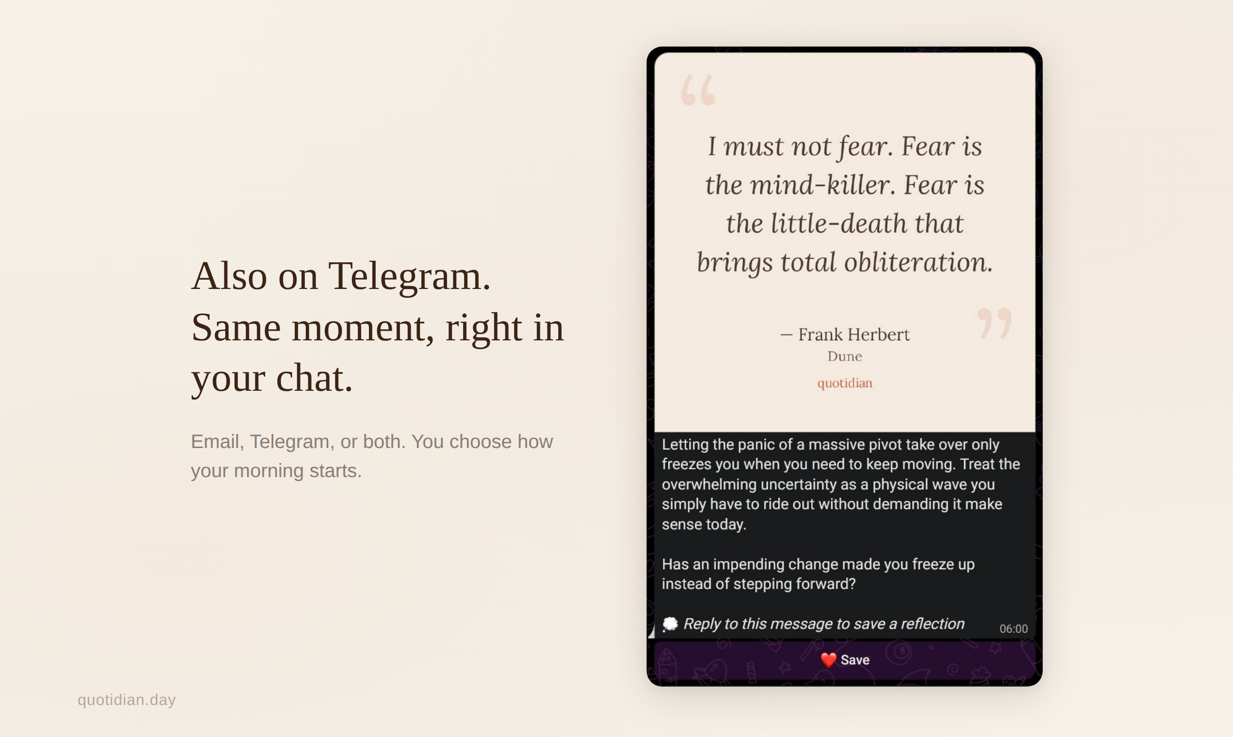 quotidian gallery image