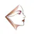 Facecher