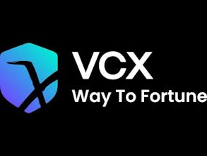 Venture Capital X gallery image