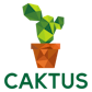 CaktusAI