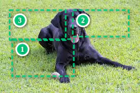 PixolloAi – AI + Human Photo Fixes gallery image