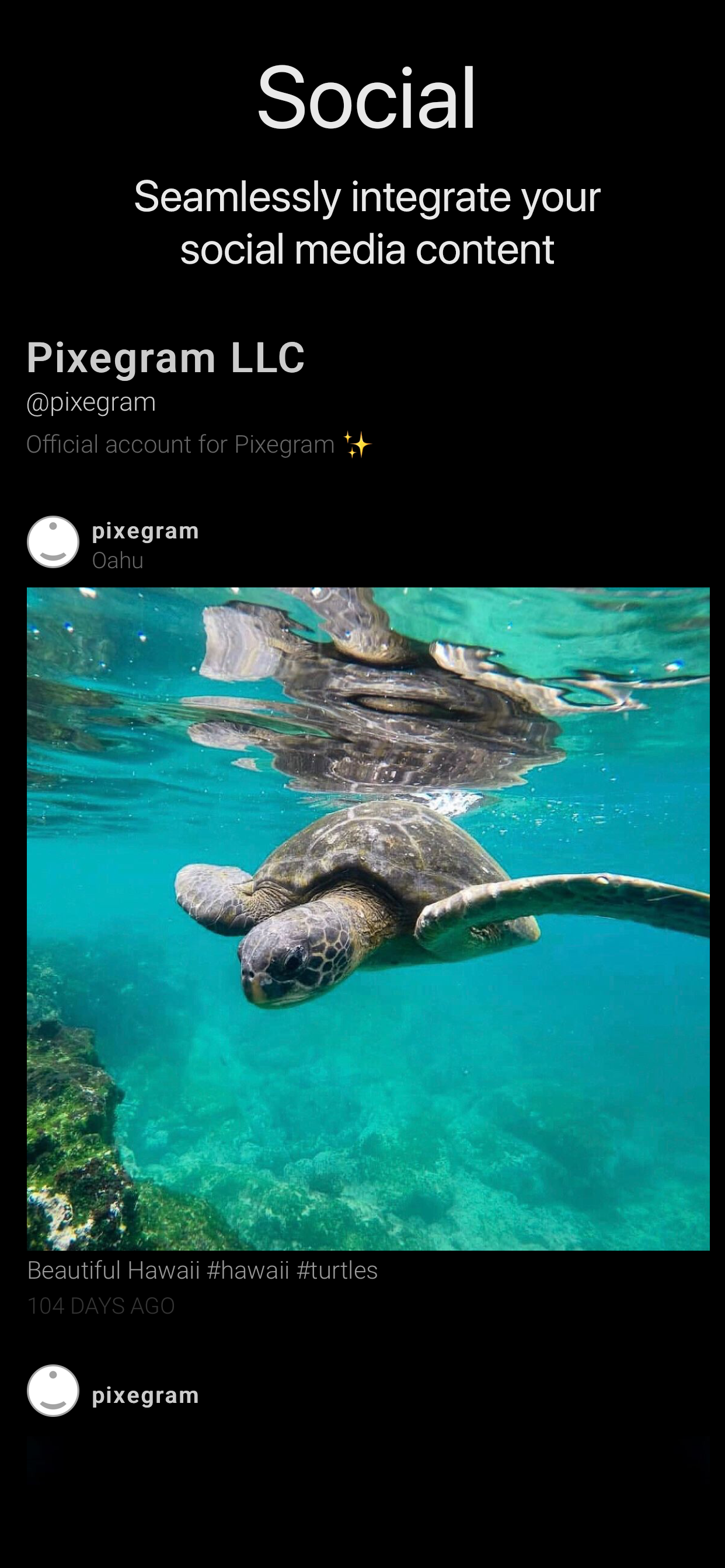 Portfolio Website Builder gallery image