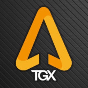 The Gaming Experience