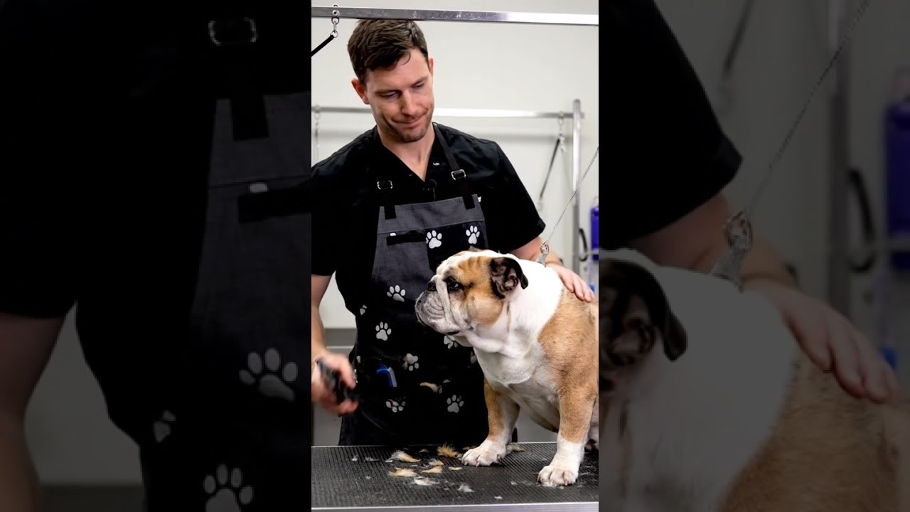 HOMEFRONT gallery image