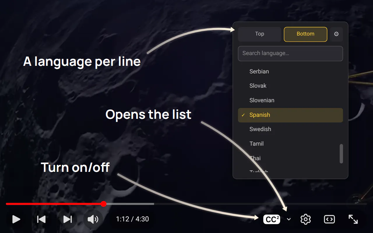 Dual Subtitles gallery image