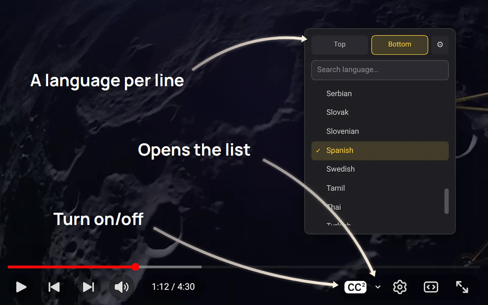 Dual Subtitles screenshot 3