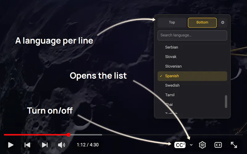 Dual Subtitles screenshot 3