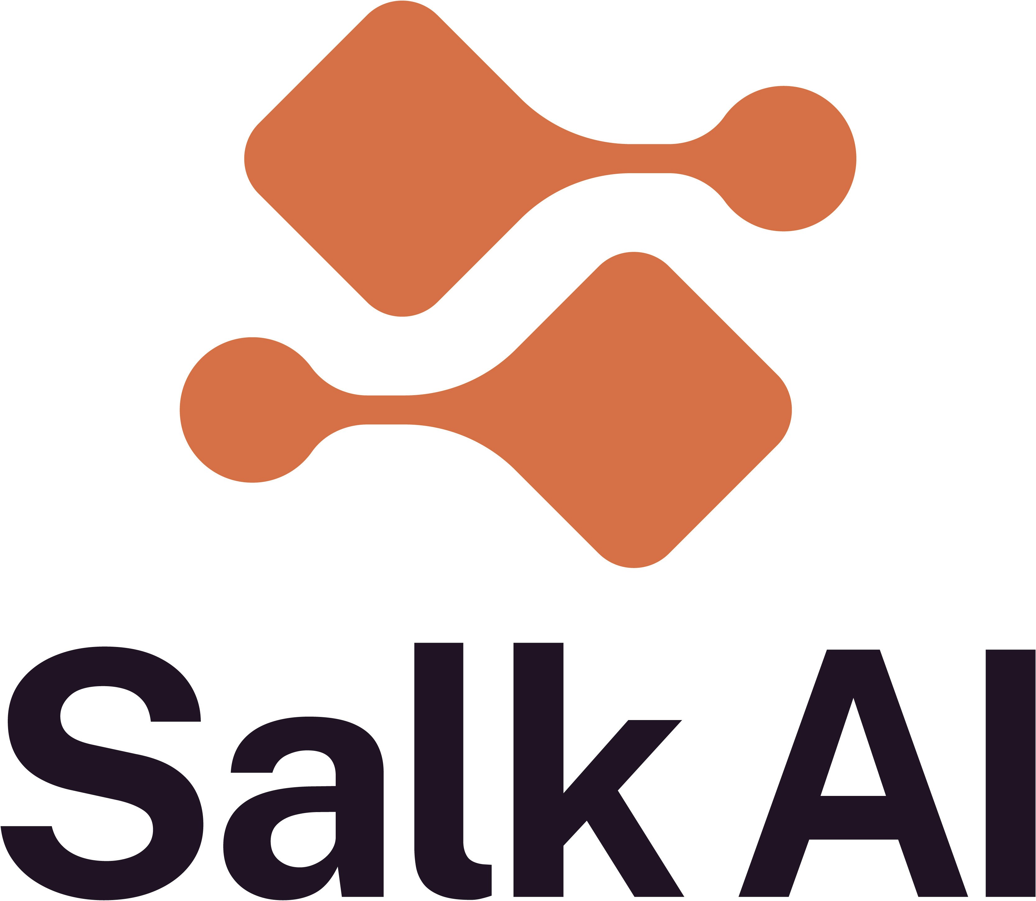 Salk AI - Screenshot 2 showing product features and functionality