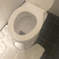 Seatswing