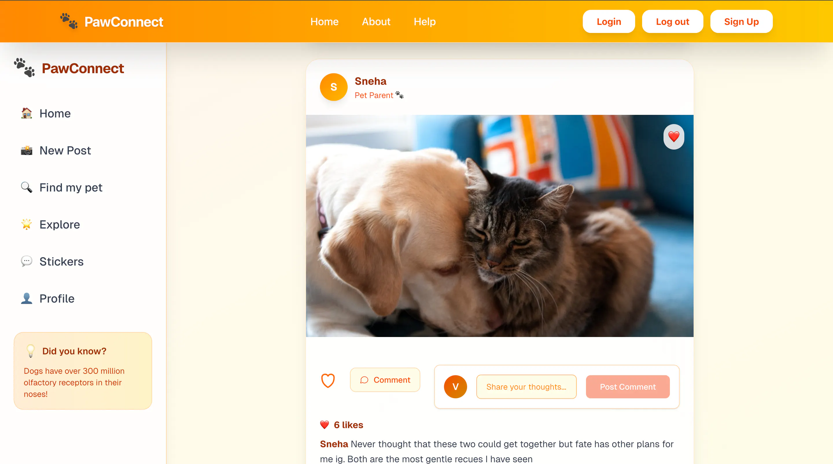 PawConnect gallery image