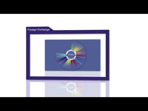 Datasoft FxOffice - FX Software gallery image