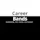CareerBands For Career Development