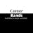 CareerBands For Career Development