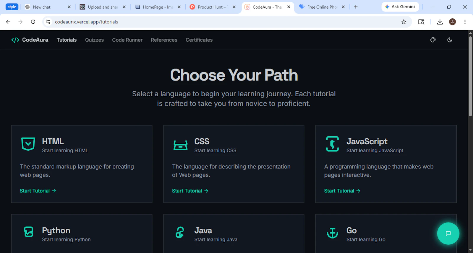 CodeAurix — Learn, Code, Build with AI screenshot 3