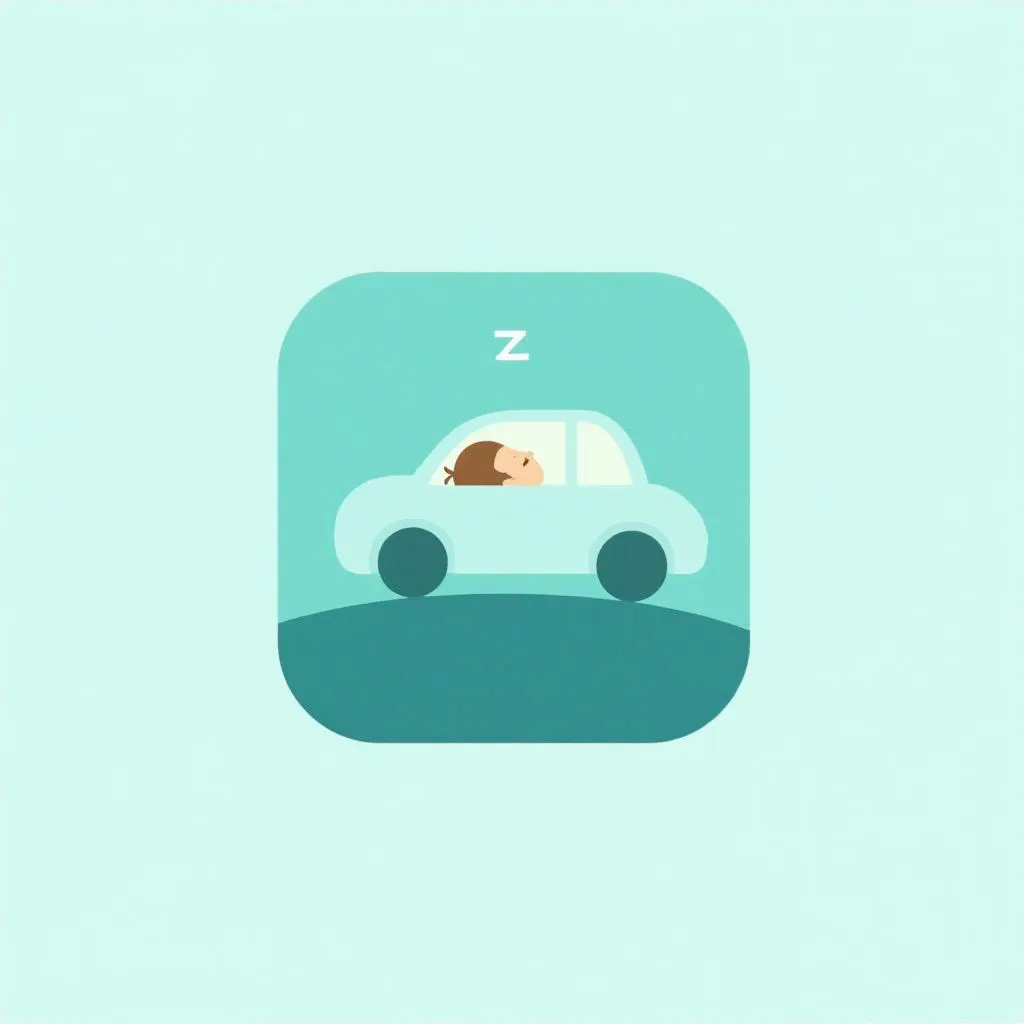NapRoute