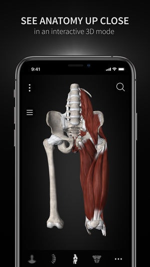 Anatomyka gallery image