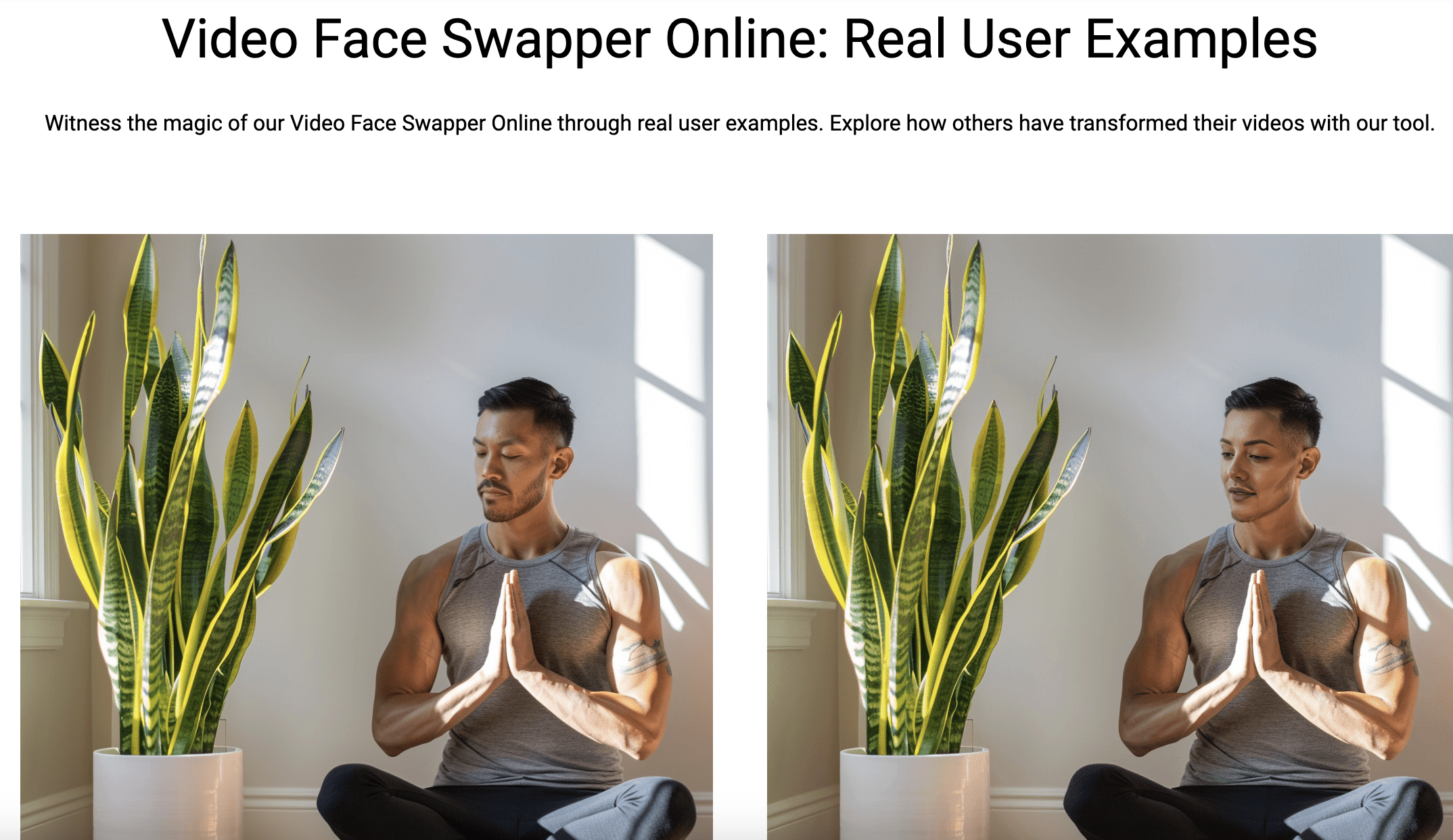 swapfaces.ai Medien 3
