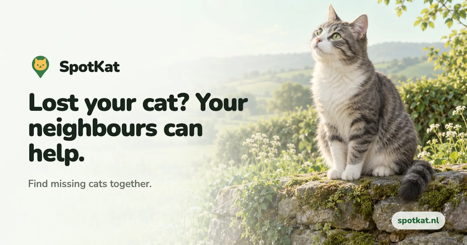 SpotKat screenshot 1