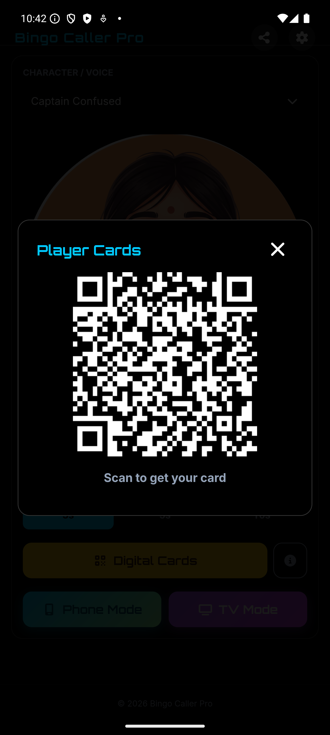 Bingo Caller Pro - Screenshot 4 showing product features and functionality