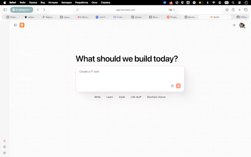 Borchani screenshot 2