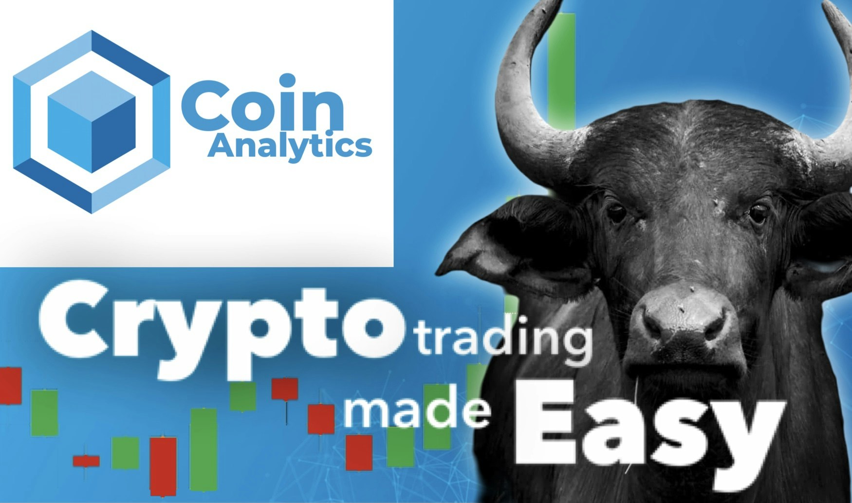 Coin Analytics gallery image