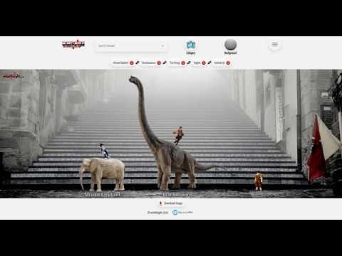 whatHeight gallery image