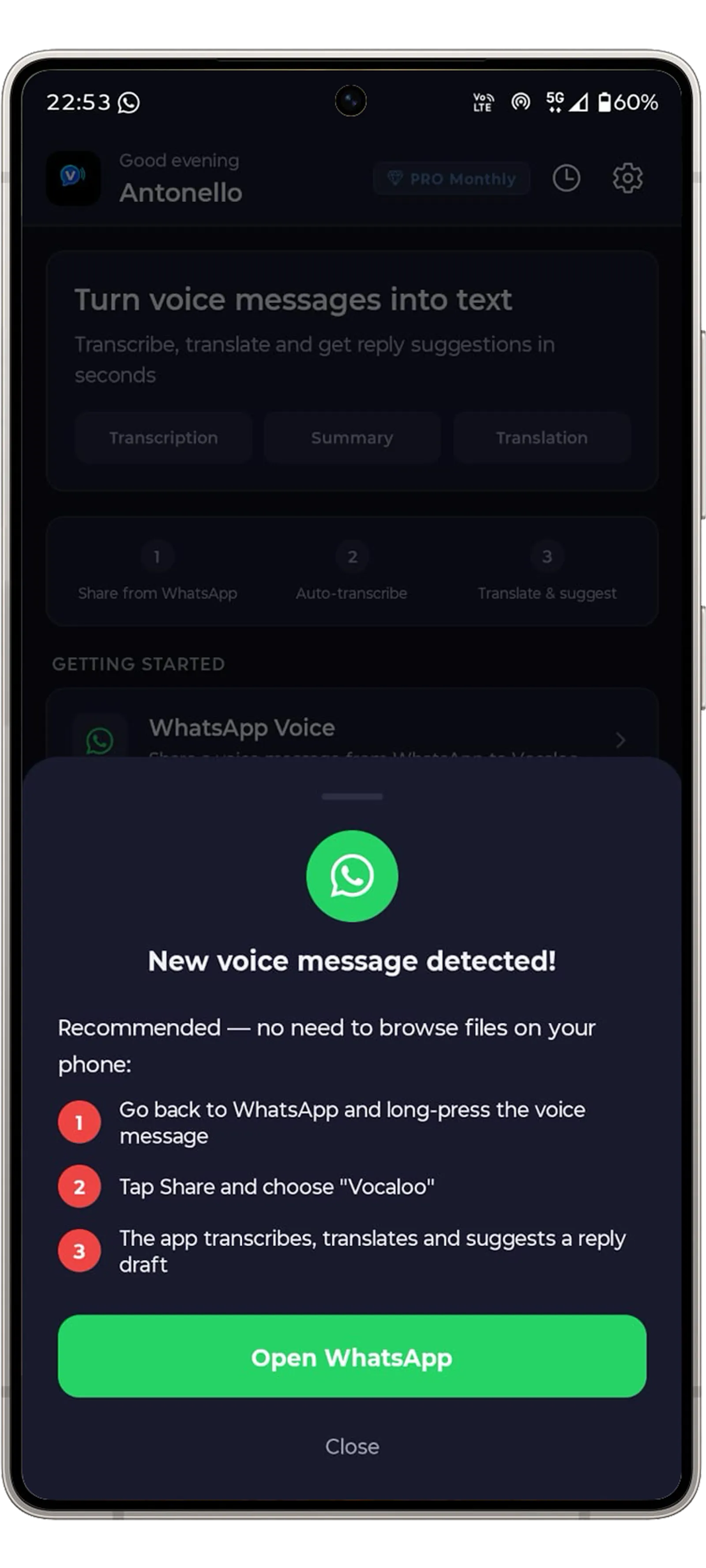 Vocaloo: Voice to Text & Translate screenshot 1