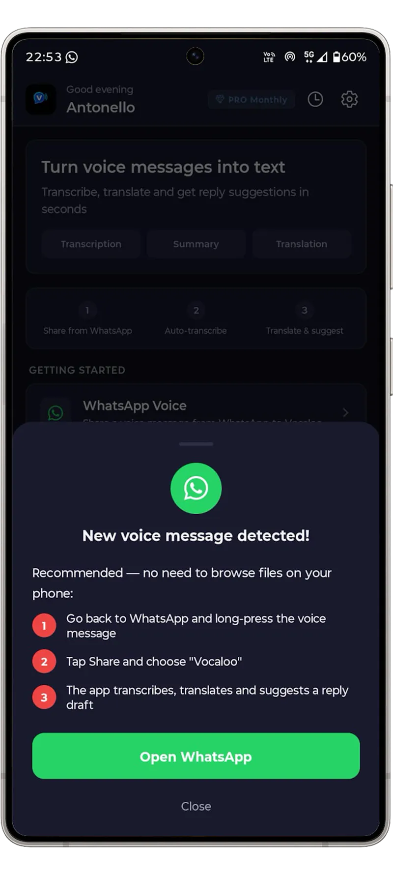 Vocaloo: Voice to Text & Translate screenshot 1