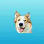 Mimbo: All-in-One Dog App