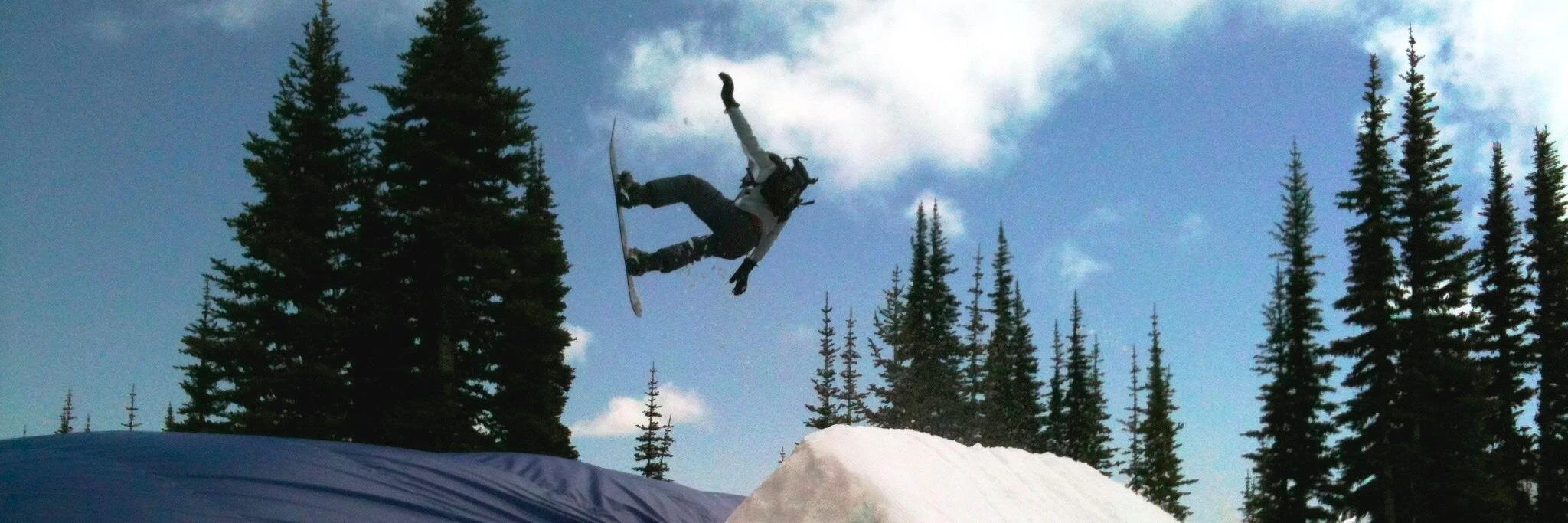 David Rosenthal cover