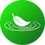 Matcha Shift
