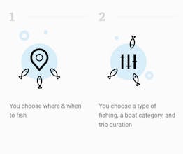 Fish.Travel gallery image