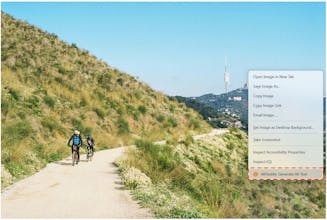 AltTextify gallery image