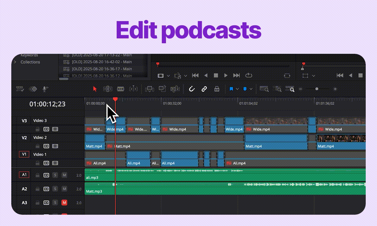 FireCut for DaVinci Resolve - Screenshot 3 showing product features and functionality