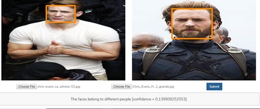 Face recognition SDK gallery image