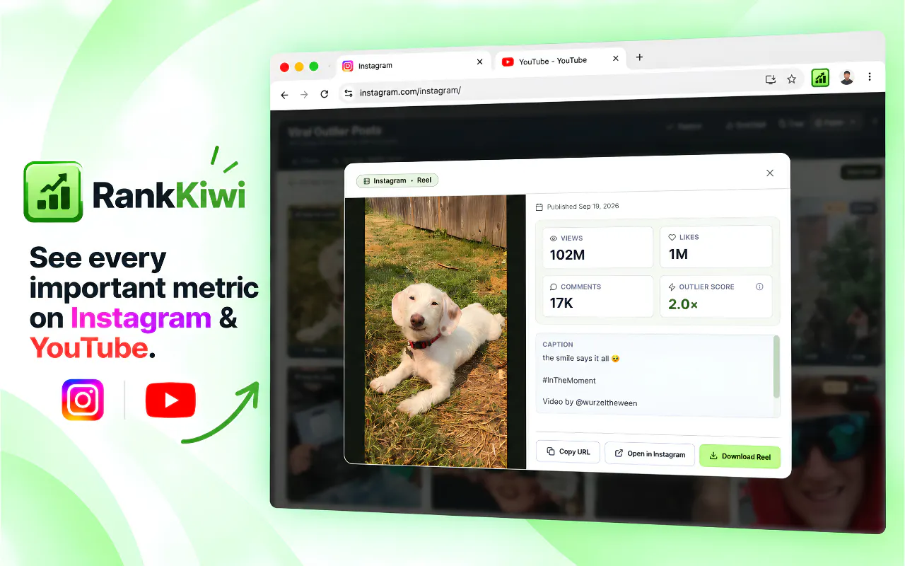Rank Kiwi screenshot 5